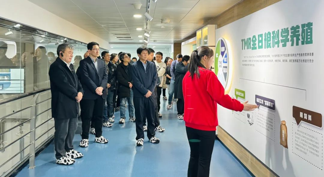 供稿：开云手机客户端登录入口
